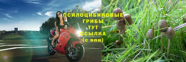 тгк Абаза