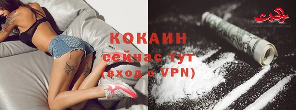 шишки Рославль