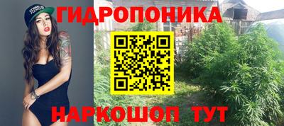 Альфа ПВП Рязань