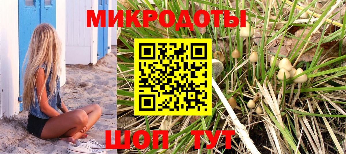 Мурино  Псилоцибиновые грибы Psilocybe  Вход с VPN 
